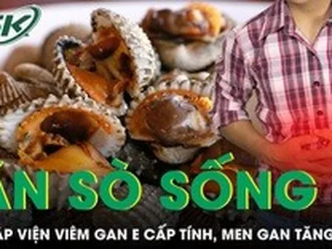 Ăn sò sống, người đàn ông nhập viện viêm gan E cấp tính, men gan tăng vọt