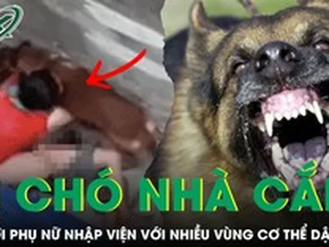 Cụ bà 72 tuổi nhập viện với nhiều vùng cơ thể dập nát vì bị chó becgie nặng 30kg cắn xé