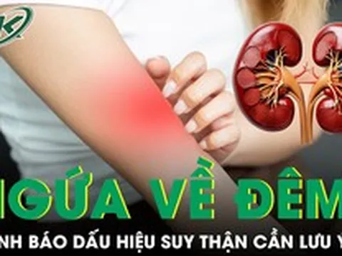 Nhiều người ngứa dai dẳng tưởng dị ứng, đi khám mới 'ngã ngửa' vì suy thận nặng