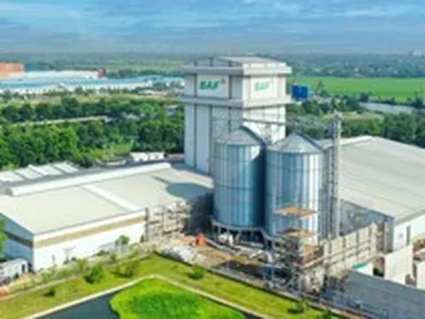 BAF muốn chia thưởng và trả cổ tức 20%, đưa CEO Siba Holdings vào Hội đồng quản trị