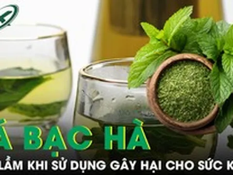 Sai lầm khi sử dụng lá bạc hà gây hại cho sức khỏe