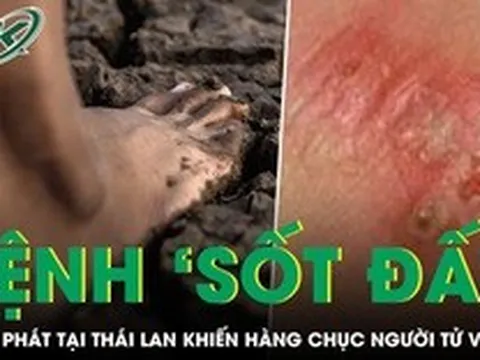 Bệnh ‘sốt đất’ bùng phát tại Thái Lan khiến hàng chục người tử vong