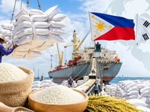 Tín hiệu cực vui cho 'hạt vàng' Việt Nam: Hai khách sộp đua 'vét hàng', hàng trăm tàu sẵn sàng vươn khơi