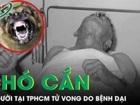 Chó cắn, 3 người tại TPHCM tử vong do bệnh dại