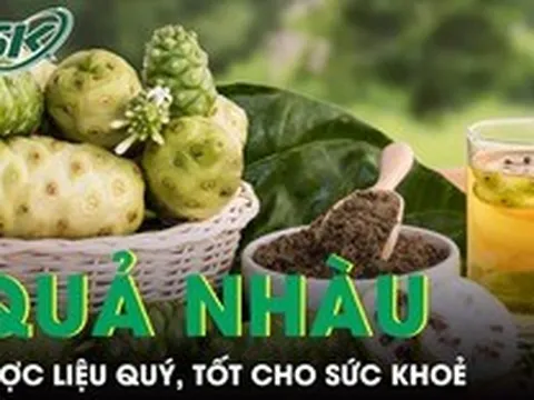 Quả nhàu mọc dại bị chê hôi lại là dược liệu quý, tốt cho sức khoẻ
