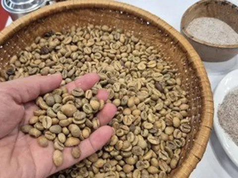 Giá cà phê hôm nay  5-5: Qua đỉnh giá, xuất khẩu cà phê nhiều, tiền về vẫn giảm