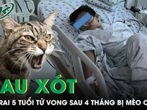 Đau xót: Bé trai 5 tuổi tử vong sau 4 tháng bị mèo cào