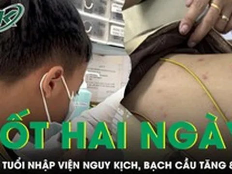 Bé trai 7 tuổi nhập viện nguy kịch sau hai ngày sốt, bạch cầu tăng 8 lần