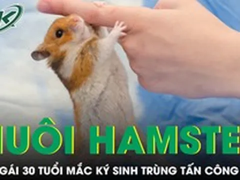 Nuôi chuột hamster, cô gái 30 tuổi mắc ký sinh trùng tấn công não