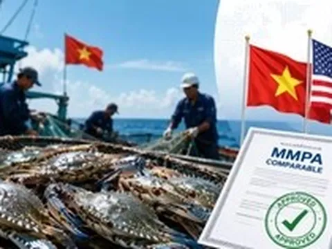 Tin vui với ghẹ Việt Nam xuất Mỹ