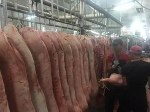 Giá heo hơi hôm nay, 15-5: Các vùng miền đều giảm