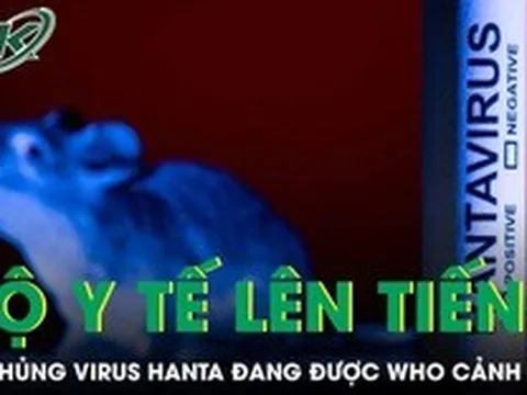 Bộ Y tế thông tin về chủng virus Hanta đang được WHO cảnh báo
