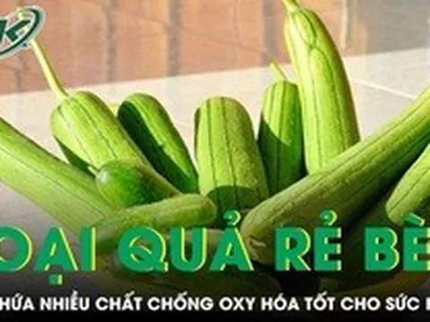 Loại quả rẻ bèo bán đầy chợ nhưng lại chứa nhiều chất chống oxy hóa tốt cho sức khỏe