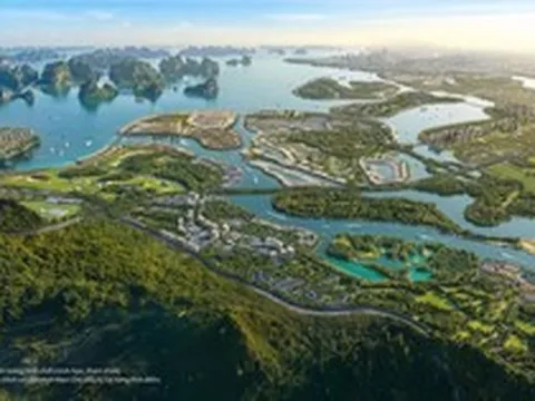 Trước khi tung chương trình hỗ trợ chuyển đổi vàng mua nhà, tỷ phú Phạm Nhật Vượng từng nói: Nếu người dân có tiền là đi mua vàng thì xã hội không có nguồn vốn để phát triển