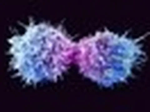 Loại virus âm thầm có thể gây ung thư ở cả nam và nữ
