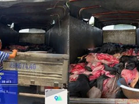 Mở thùng xe tải bịt kín khả nghi giữa Quốc lộ 2, lực lượng chức năng phát hiện cảnh tượng ám ảnh bên trong