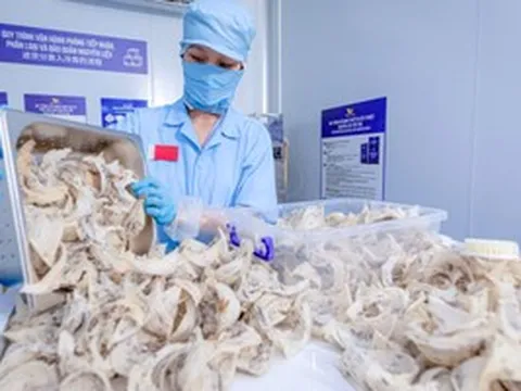 Cục Xuất nhập khẩu lưu ý thay đổi quan trọng với hàng thực phẩm vào Trung Quốc từ 1-6