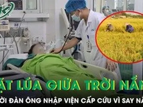 Gặt lúa giữa trời nắng gắt, người đàn ông nhập viện cấp cứu