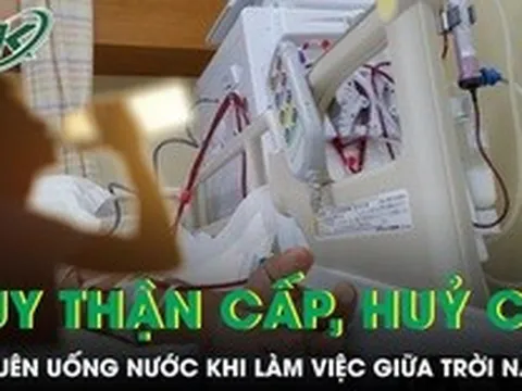 Chàng trai 25 tuổi suy thận cấp, hủy cơ vì quên uống nước khi làm việc giữa trời nắng