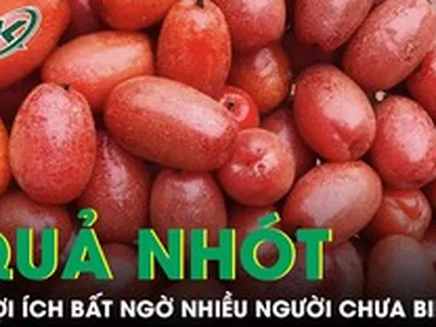 5 lợi ích bất ngờ của quả nhót với sức khỏe, nhiều người chưa biết