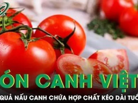 Loại quả xuất hiện trong món canh Việt âm thầm giúp kéo dài tuổi thọ