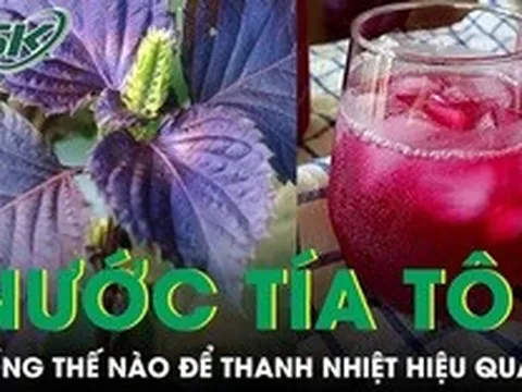 Uống nước tía tô mùa nắng nóng thế nào để thanh nhiệt hiệu quả