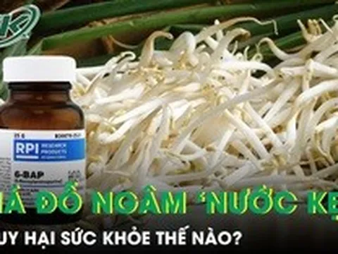 Giá đỗ ngâm hóa chất tuồn ra thị trường nguy hại sức khỏe thế nào?