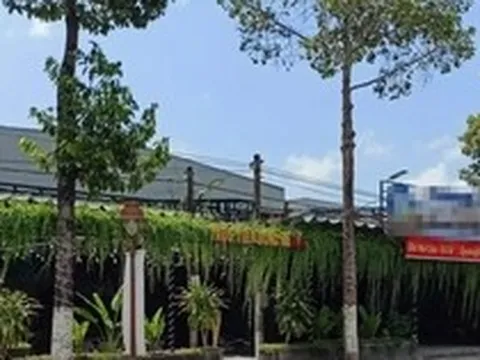 Buộc tháo dỡ sân Pickleball ở Cà Mau