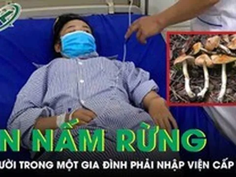 Ăn nấm rừng, 4 người trong một gia đình phải nhập viện cấp cứu