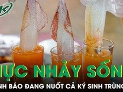 Món 'mực nhảy sống' sốt mạng xã hội, chuyên gia cảnh báo đang nuốt cả ký sinh trùng