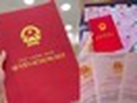 Năm 2026, những trường hợp sau sẽ bị thu hồi Sổ đỏ