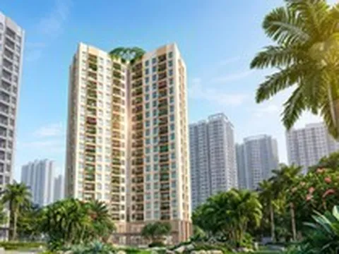 Nam Thủ đô trước cú hích siêu hạ tầng: Vì sao Viha Flora đón sóng giãn dân?