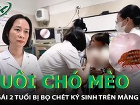 Nuôi chó mèo trong nhà, bé gái 2 tuổi bị bọ chét ký sinh trên màng nhĩ
