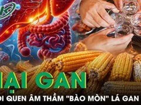 Những thói quen âm thầm "bào mòn" lá gan mỗi ngày