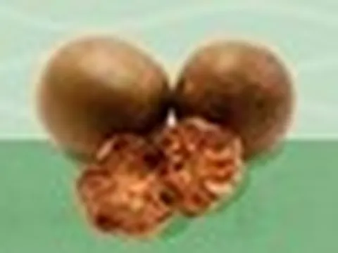 Kỳ lạ loại quả ngọt gấp 250 lần đường nhưng không gây tăng đường huyết, ngừa ung thư: Việt Nam có nhiều