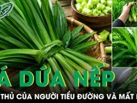 Loại lá rẻ tiền bán đầy chợ được ví như trợ thủ của người tiểu đường và mất ngủ