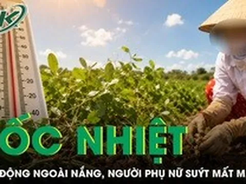 Nhổ lạc giữa trời nắng, người phụ nữ suýt mất mạng vì sốc nhiệt