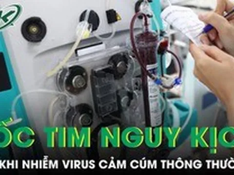 Bé trai 11 tuổi sốc tim nguy kịch sau nhiễm virus cảm cúm thông thường