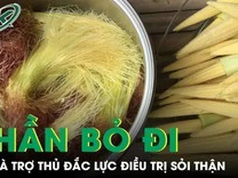 Phần thường bị bỏ đi của bắp ngô lại là 'trợ thủ đắc lực' hỗ trợ điều trị sỏi thận