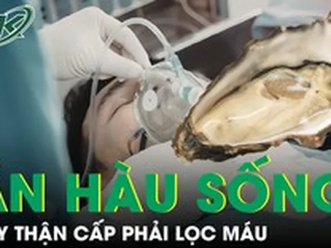Ăn hàu sống, người đàn ông suy thận cấp phải lọc máu
