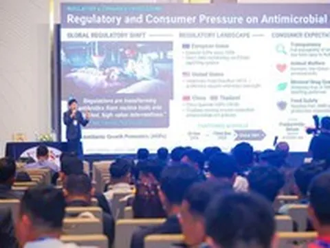 Hướng tiếp cận mới trong chăn nuôi heo bền vững
