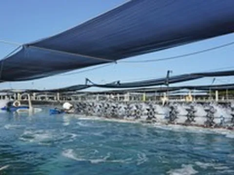 Một mặt hàng của Việt Nam vừa mang về gần 2 tỷ USD: Mỹ, Trung Quốc đua nhau săn lùng, nước ta sở hữu công nghệ hàng đầu thế giới