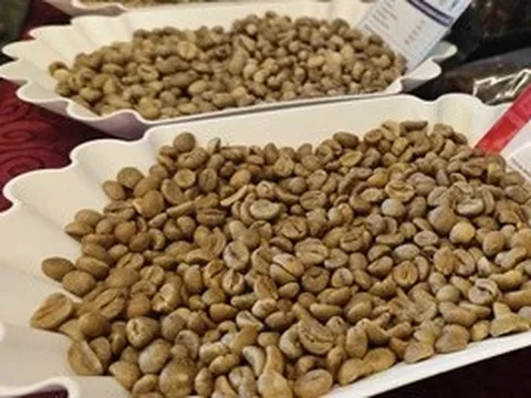 Giá cà phê hôm nay, 27-6: Robusta giao ngay vẫn "nóng"
