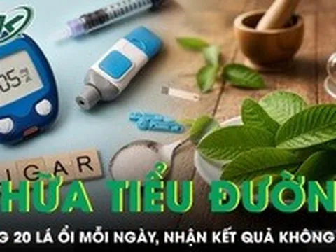 Uống 20 lá ổi mỗi ngày chữa tiểu đường, người đàn ông nhận kết quả không ngờ