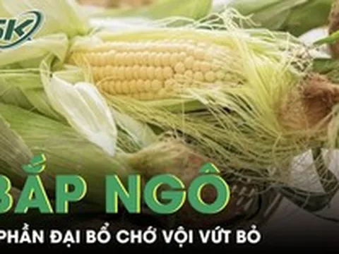 Những giá trị dinh dưỡng bất ngờ từ bắp ngô